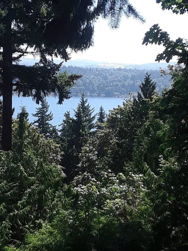 Hollerbach Open Space - Image 1