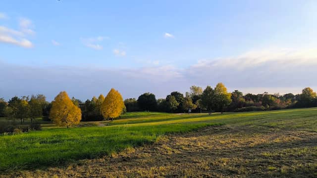 Park - Image 2