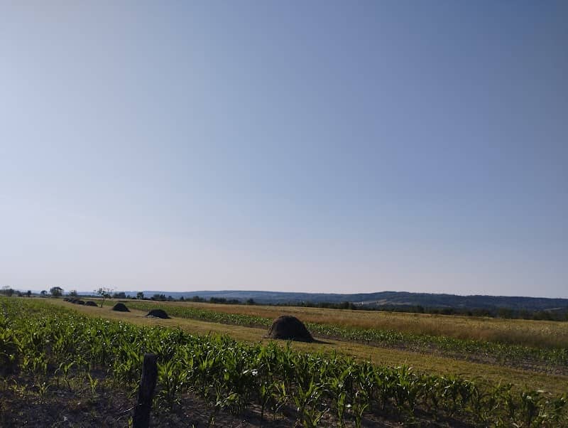 Belvedere - Image 1