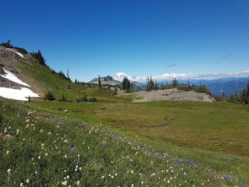 Goat Rocks Wilderness - Image 3