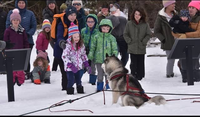 Siber Sled Dogs - Image 1
