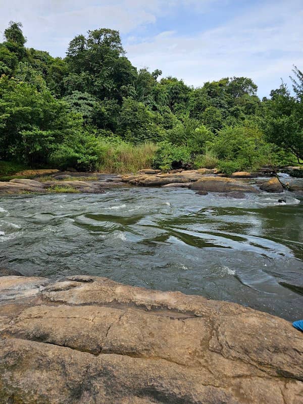 Kulathupuzha River Close View - Image 1