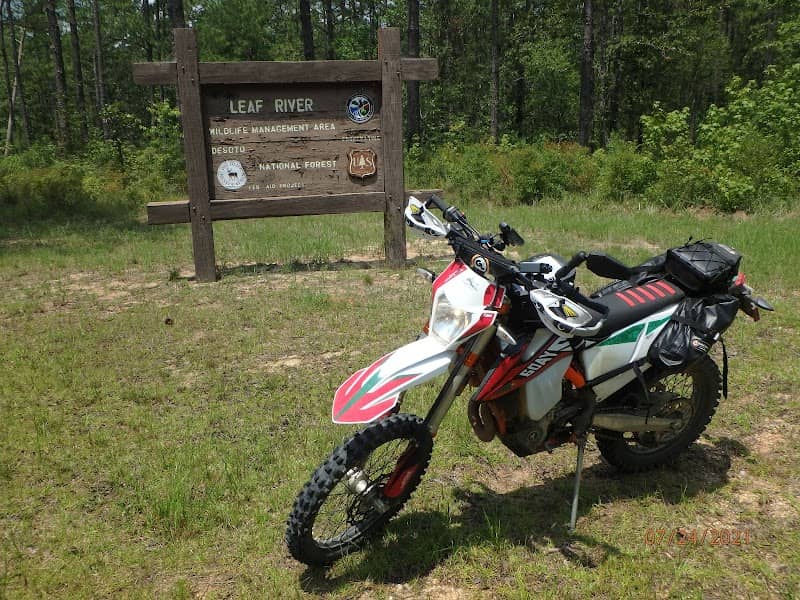 Leaf River State Wildlife Management Area - Image 2