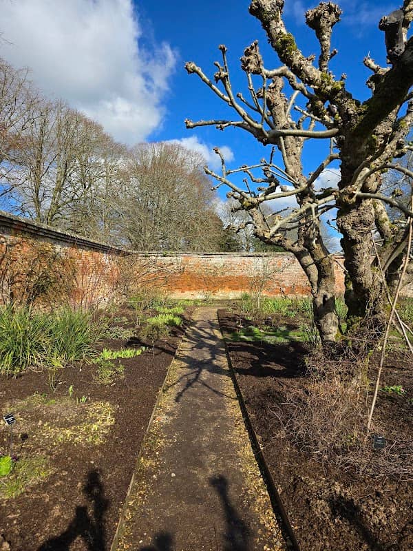 Mottisfont - Image 3