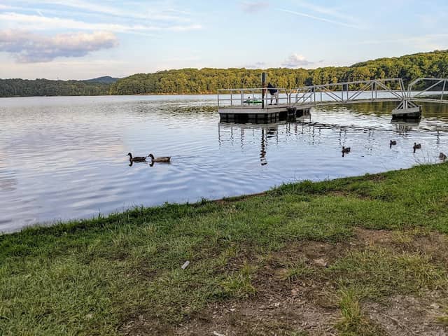 Sweetwater Creek Campsites - Image 1