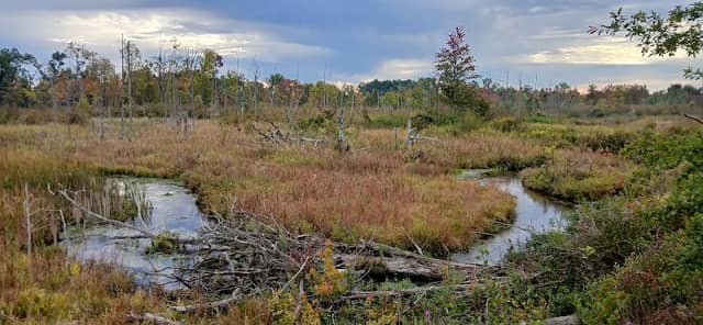 Gourdneck State Game Area trailhead - Image 2
