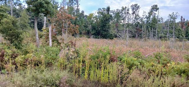 Gourdneck State Game Area trailhead - Image 1