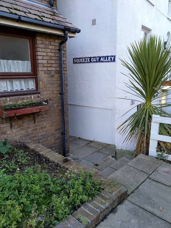 Squeeze Gut Alley - Image 2