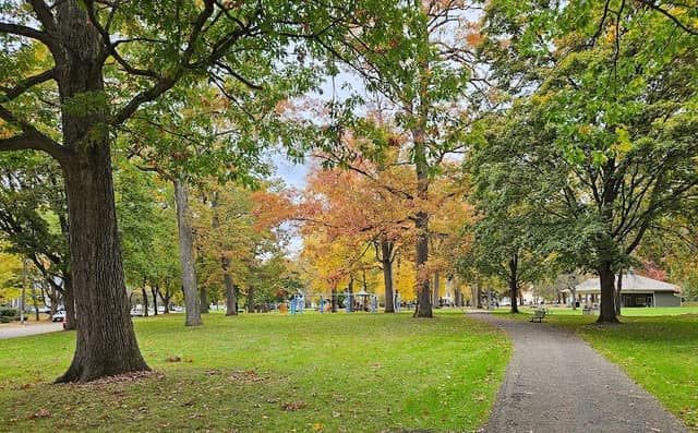 Grove Park - Image 3