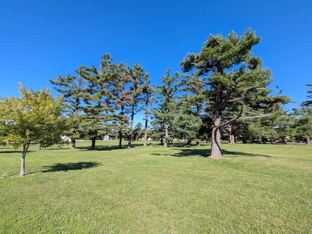 Curtis Park - Image 2