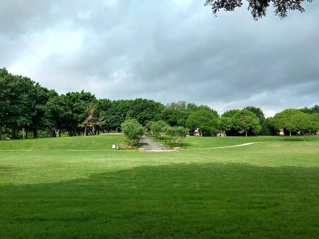 Celestial Park - Image 3