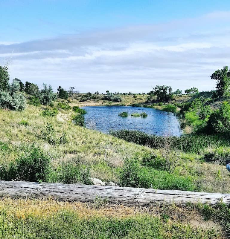 Beymer Park - Image 2