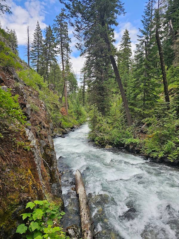 Wallowa Falls - Image 1