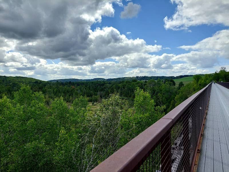 Omemee trestle bridge - Image 1