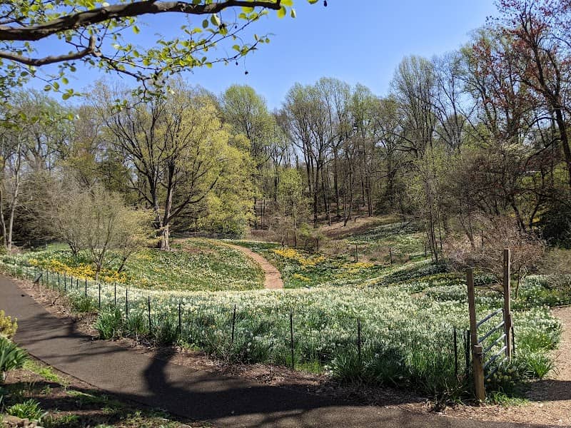 Reeves-Reed Arboretum - Image 2
