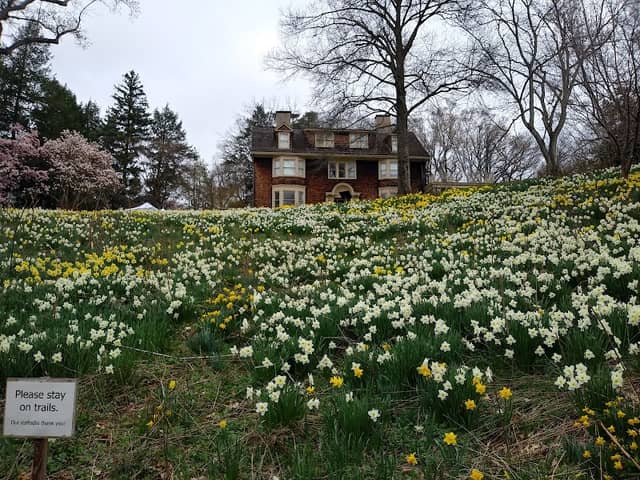 Reeves-Reed Arboretum - Image 1