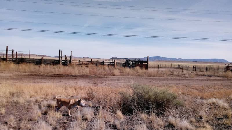 Peavine Trail - Image 1