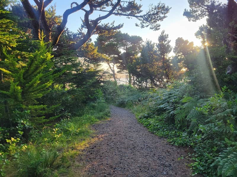 Yaquina Head Hiking Point - Image 3
