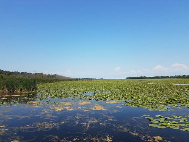 Tobico Marsh & Frank N. Andersen Nature Trail - Image 1
