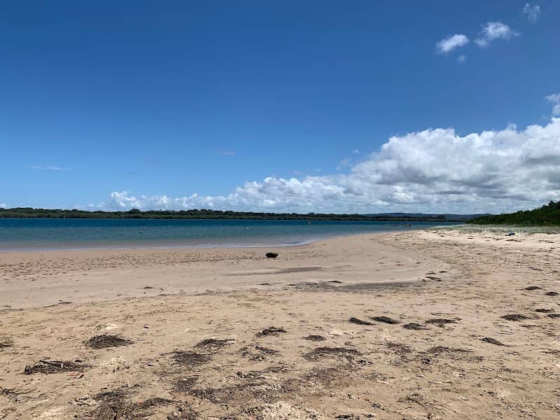 Kingsford Smith Park - Image 1