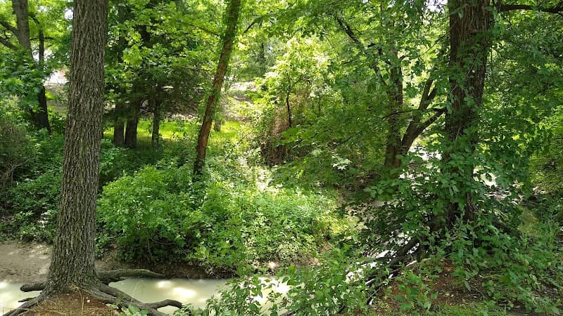 Johnson Texas Branch Moralez Creek - Image 1