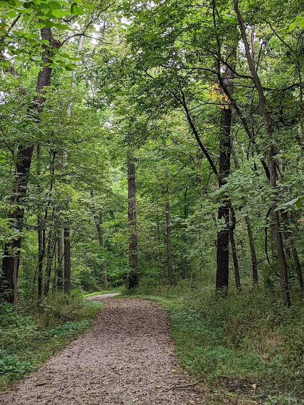 City Park - Image 1