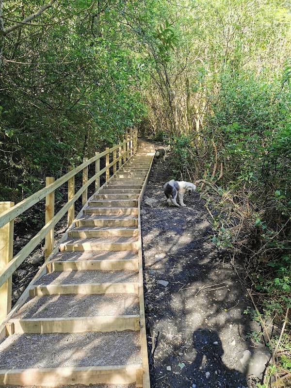 Ogmore Washeries Steps - Image 1
