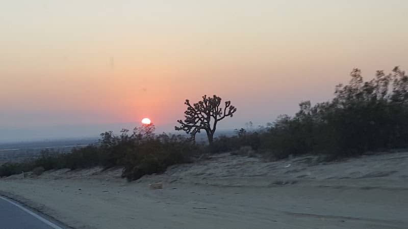 Big Rock Wash Wildlife Sanctuary - Image 3