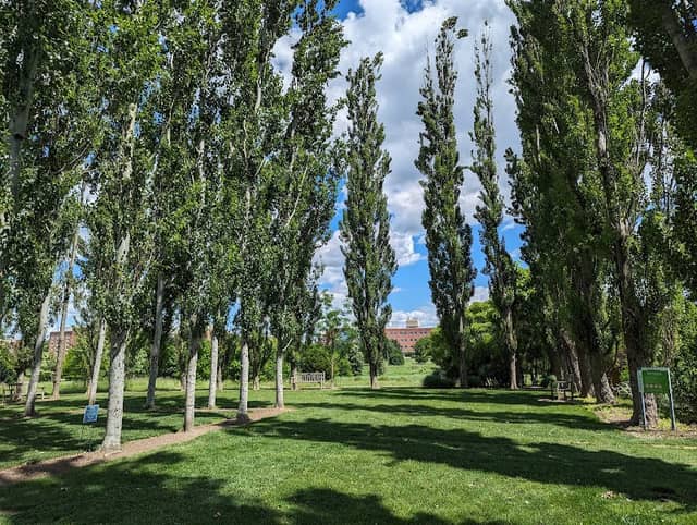 H.O. Smith Botanic Gardens - Image 2