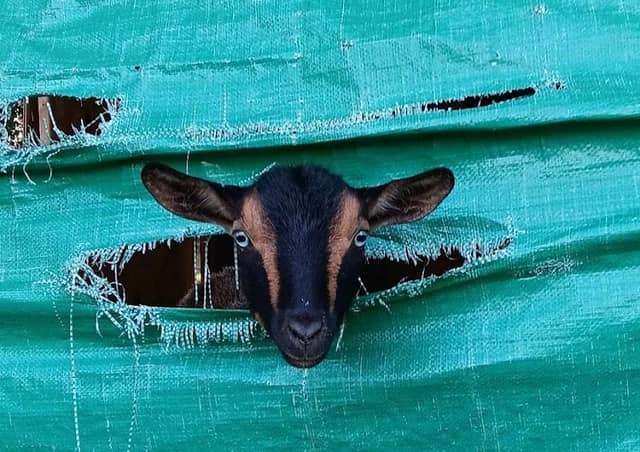 6th Day Farm - Image 1
