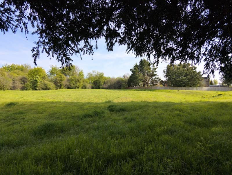 Flowerdown Barrows - Image 1