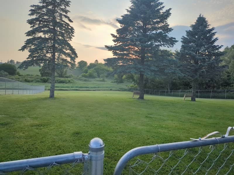 Dog park - Image 1
