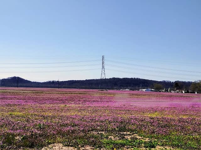 Centerville - Image 1
