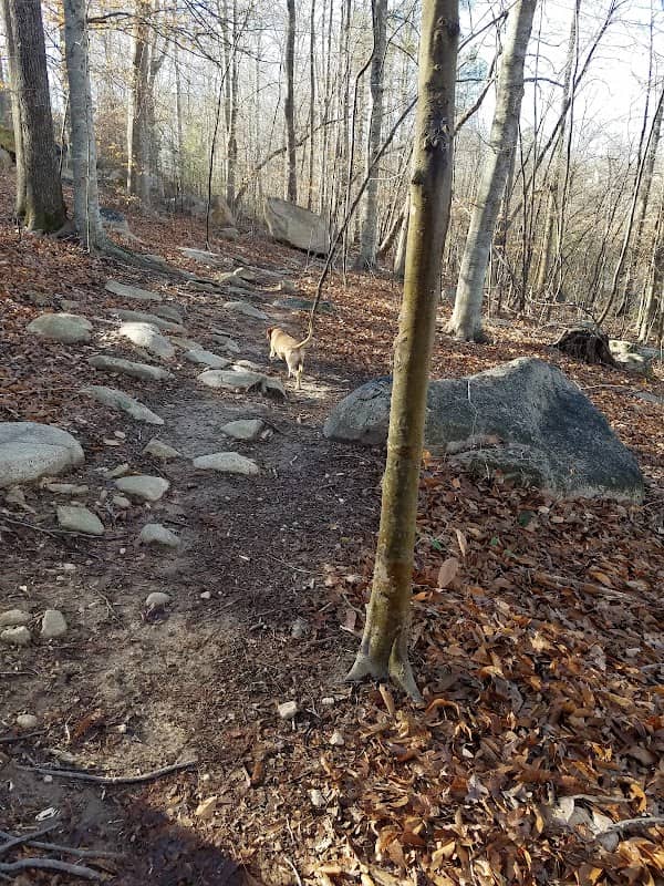 Briar Chapel Dog Park - Image 2