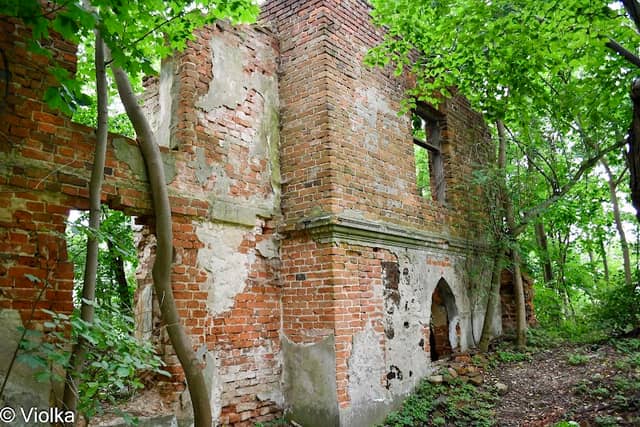 Park i ruiny w Śmiłowie - Image 1