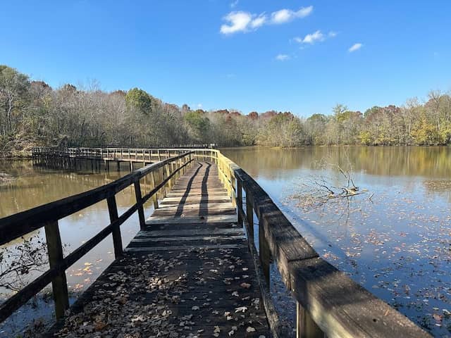 Cypress Grove Nature Park - Image 1