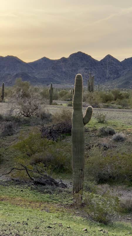 Arizona Peace Trail - Image 2