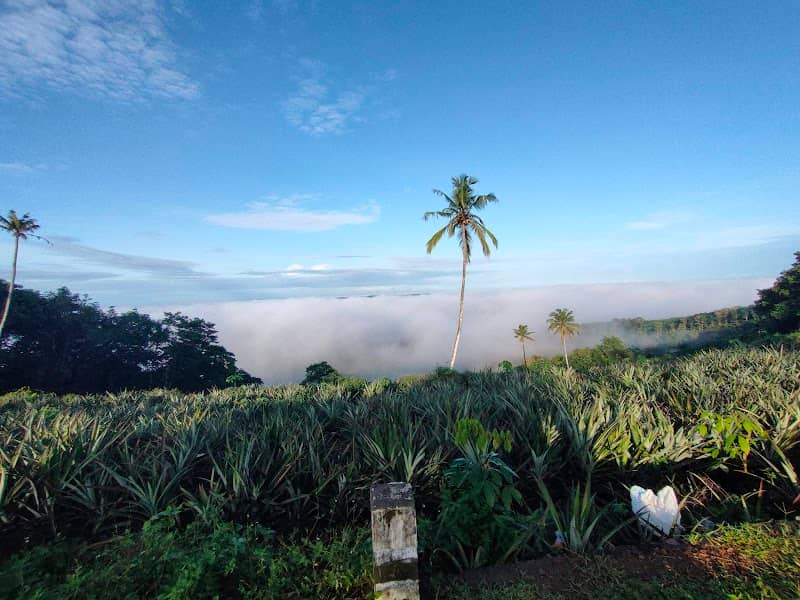 Kalamukalam View Point - Image 2