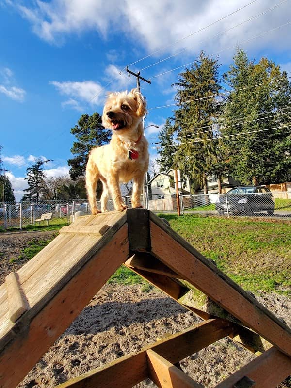 Burien Off Leash Dog Park - Image 2