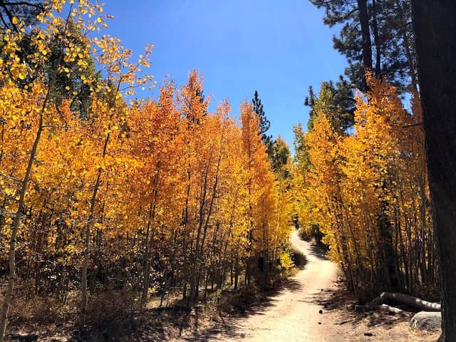 Marlette Lake Trailhead - Image 1