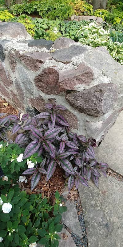 King Shade Garden - Image 1