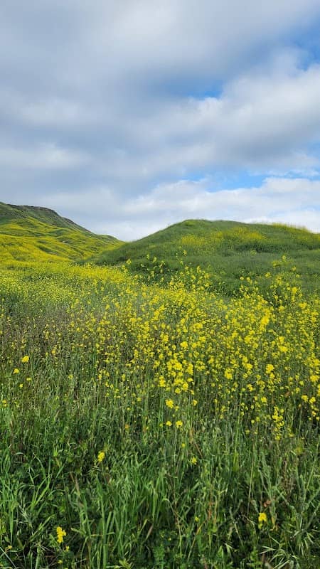 Golden valley ranch open space - Image 1