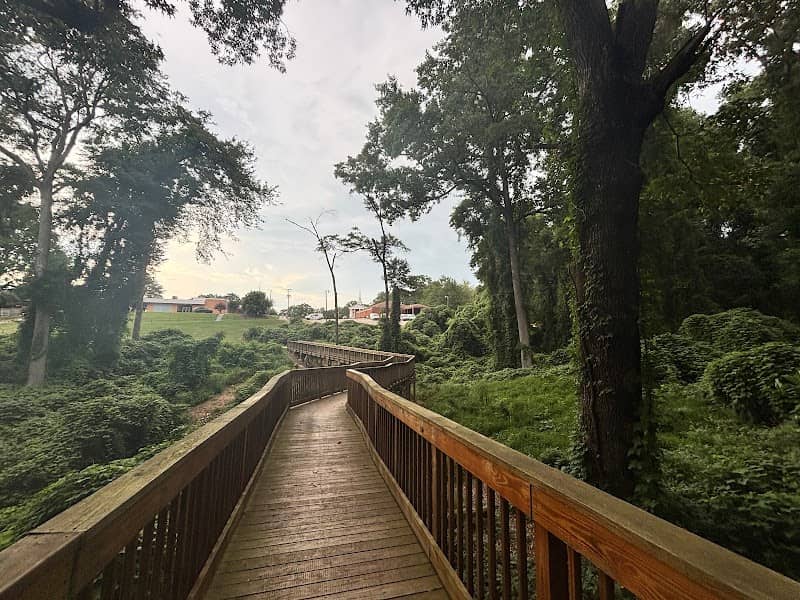 Tower trail - Image 2
