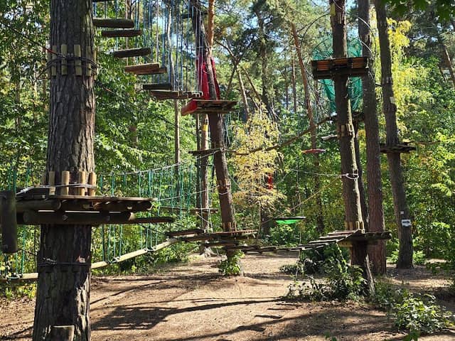 Rope Park at the Holiday Inn Jozefow - Image 2