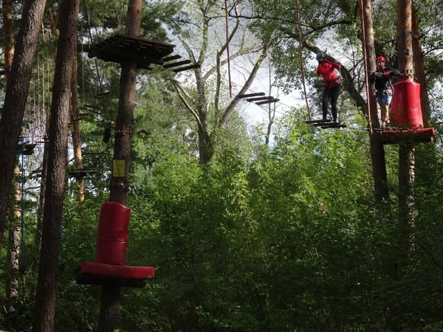 Rope Park at the Holiday Inn Jozefow - Image 1