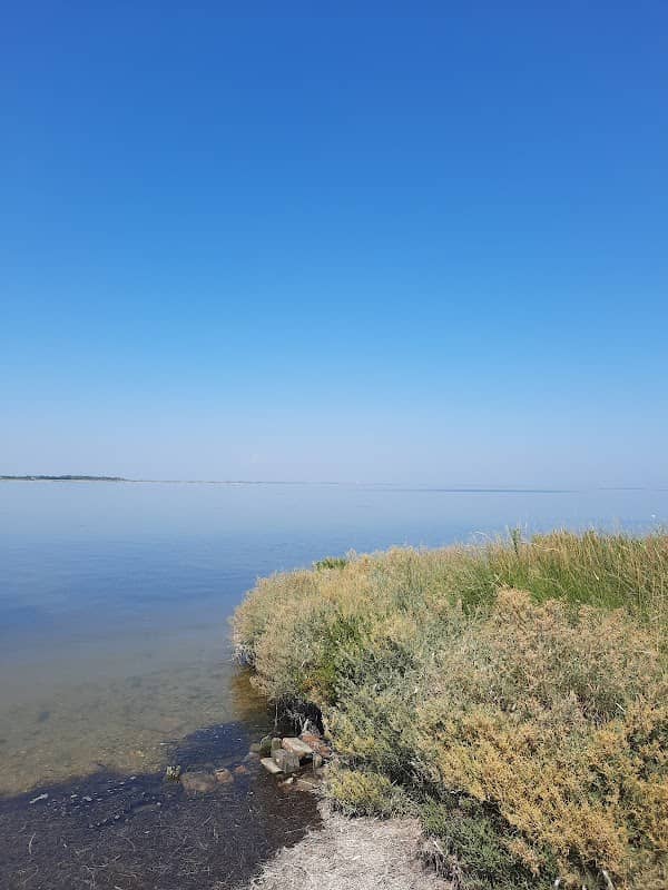 Barena di Ca'Manzo - Image 1