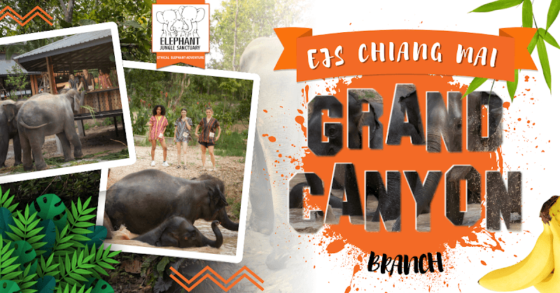 Elephant Jungle Sanctuary Chiang Mai (Grand Canyon Branch) - Image 1