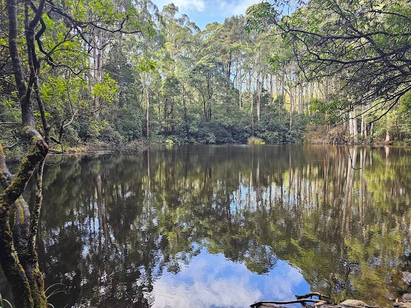 Sanatorium Lake Nature Walk - Image 1