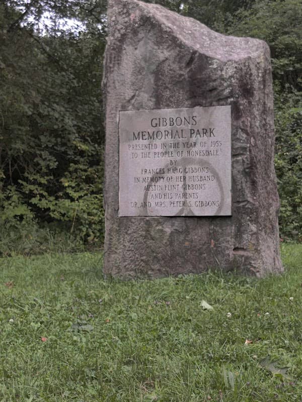 Irving Cliff, Gibbons Park - Image 2