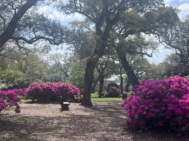 Franklin Square Park - Image 1